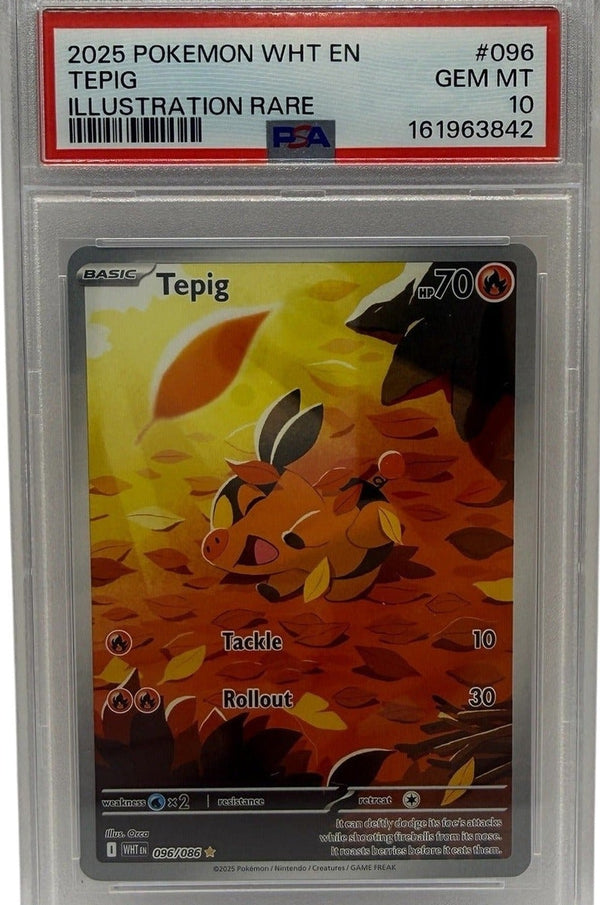 2025 Pokémon White Flare Tepig Illustration Rare #096 PSA 10 GEM MINT — photo 1