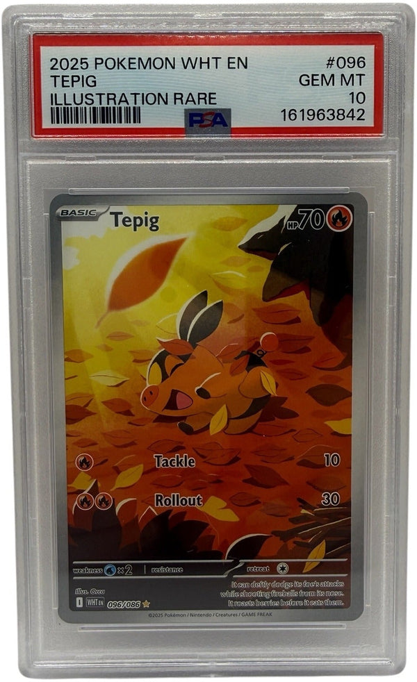 2025 Pokémon White Flare Tepig Illustration Rare #096 PSA 10 GEM MINT — photo 1