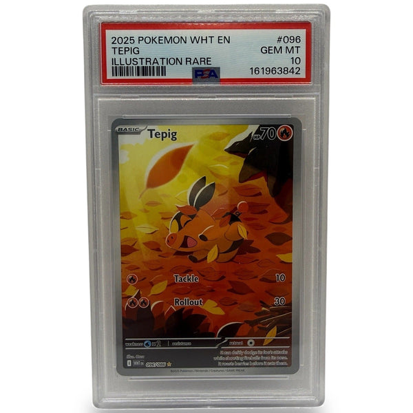 2025 Pokémon White Flare Tepig Illustration Rare #096 PSA 10 GEM MINT — photo 1