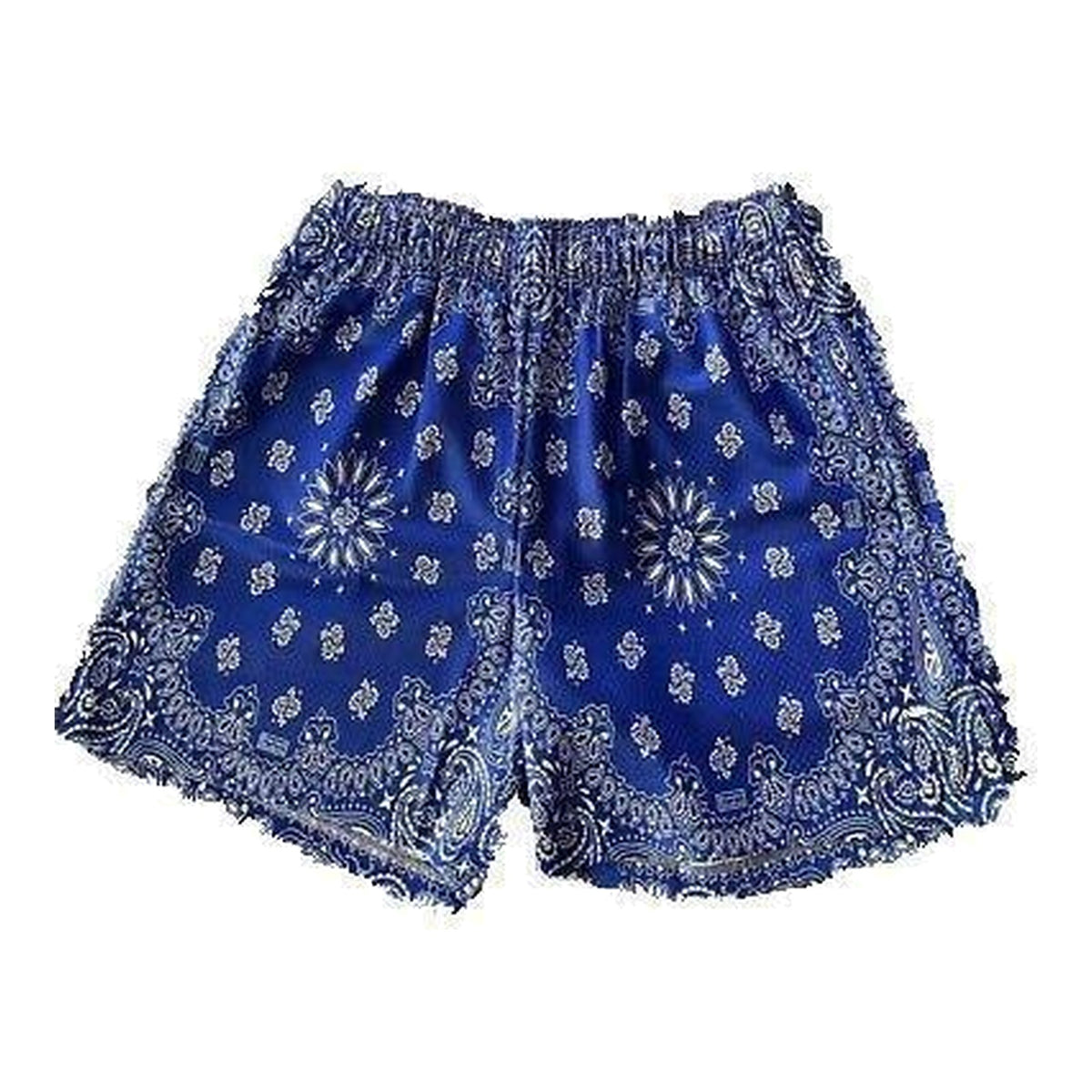 Bravest Studios Blue Paisley Shorts - Supra Sneakers