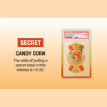 GradedGuard Trick or Treat (PSA) Pokémon Graded Card Holder Sealed Mystery Box - Image 4